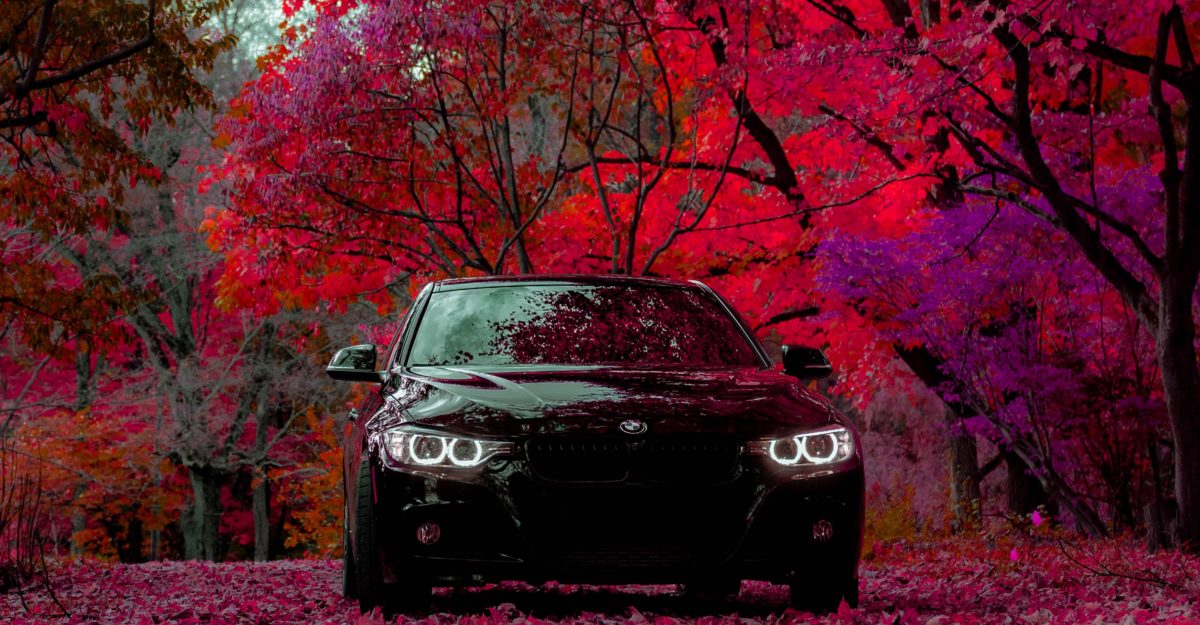 Automobile Claim Car Under Autumn Leaves