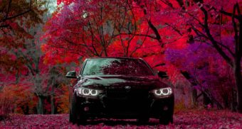 Automobile Claim Car Under Autumn Leaves