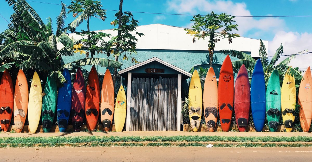 Surfboards lined up along wall