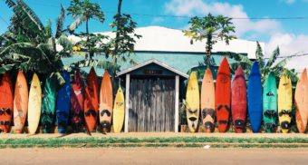 Surfboards lined up along wall