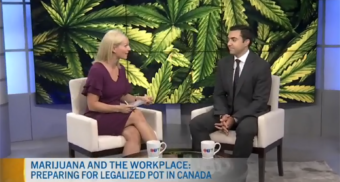 Employment Lawyer Alex Lucifero, Partner at Samfiru Tumarkin LLP, is sitting in the CTV Morning Live Ottawa studio with host Annette Goerner for an interview about the impact of legal cannabis on employees and employers.