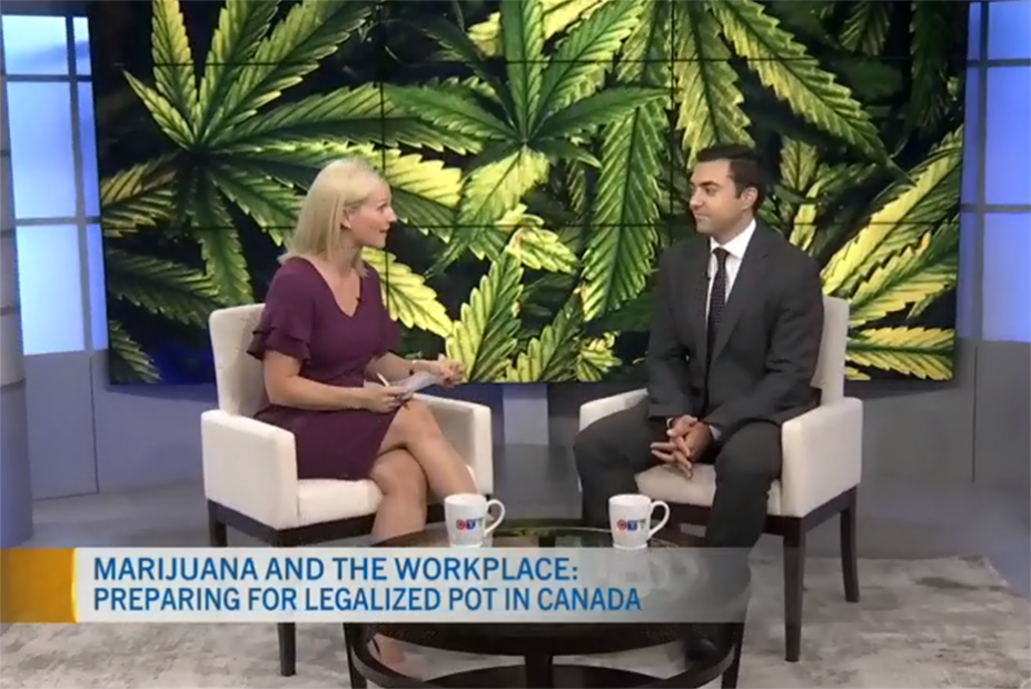 Employment Lawyer Alex Lucifero, Partner at Samfiru Tumarkin LLP, is sitting in the CTV Morning Live Ottawa studio with host Annette Goerner for an interview about the impact of legal cannabis on employees and employers.