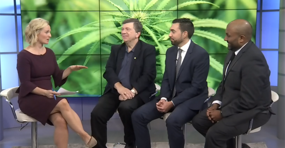 Employment Lawyer Alex Lucifero, Partner at Samfiru Tumarkin LLP, is sitting in the CTV Morning Live Ottawa studio with host Annette Goerner and two additional guests to talk about the legalization of marijuana in Canada and the impact on the workplace.