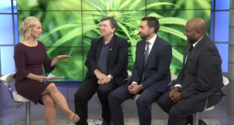 Employment Lawyer Alex Lucifero, Partner at Samfiru Tumarkin LLP, is sitting in the CTV Morning Live Ottawa studio with host Annette Goerner and two additional guests to talk about the legalization of marijuana in Canada and the impact on the workplace.