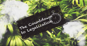 Cannabis and Sign with The Countdown to Legalization