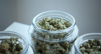 Marijuana in a jar