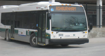 Peterburough Bus