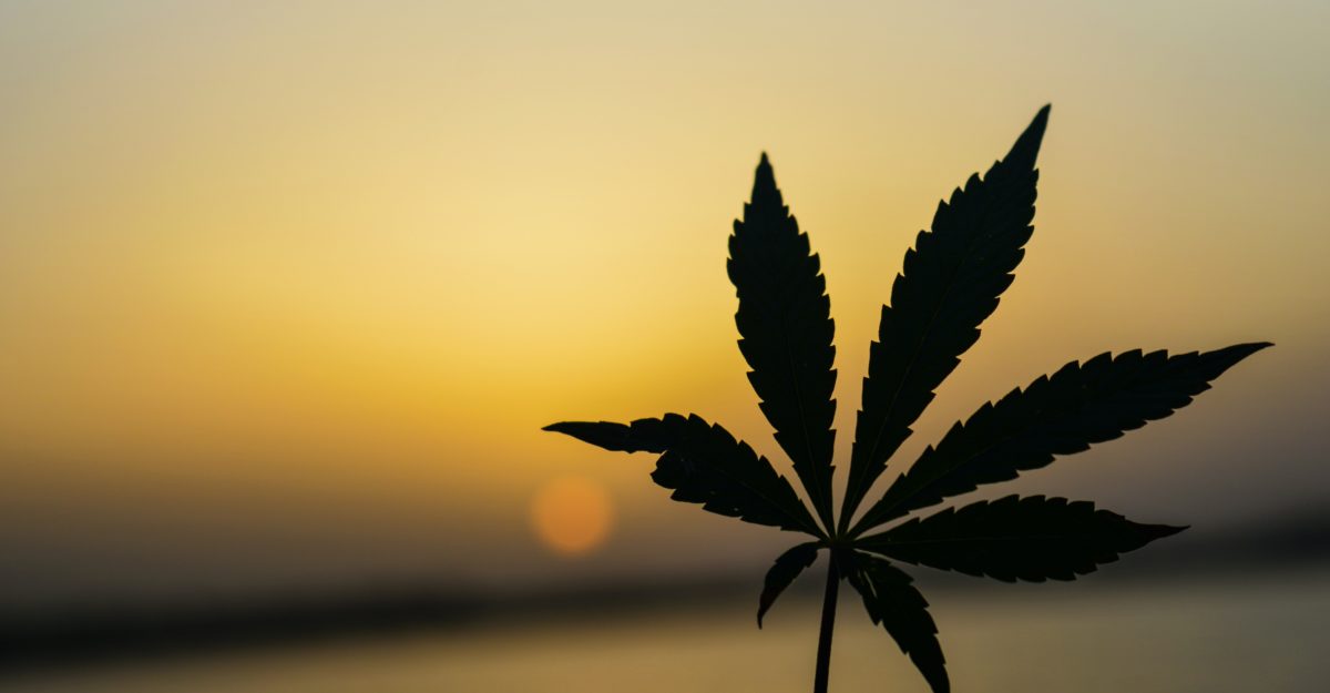 Aurora Cannabis closes facility near Kamloops, B.C., aurora cannabis, grow facility