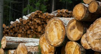 Lumber, West Fraser Timber Layoffs