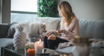 pawternity leave, pawternity leave canada