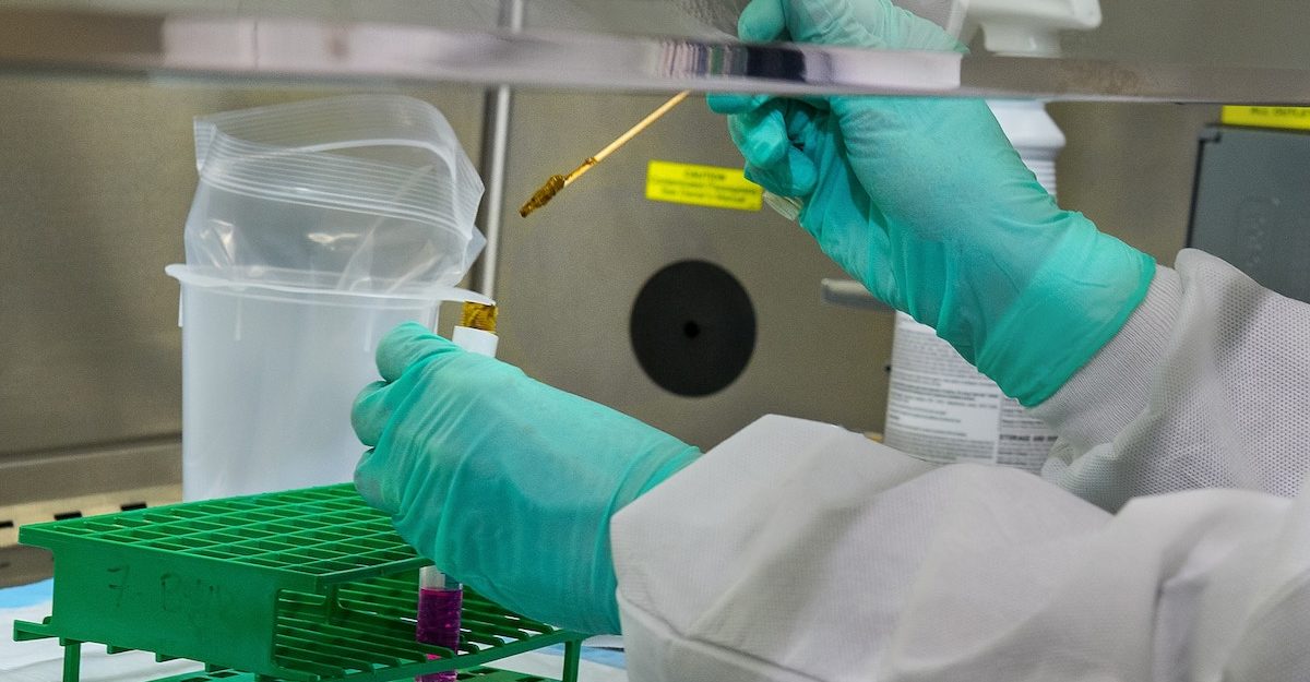 A lab scientist wearing green protective gloves adds a substance to a test tube. Celero Global plans to open its North American headquarters in Edmonton.