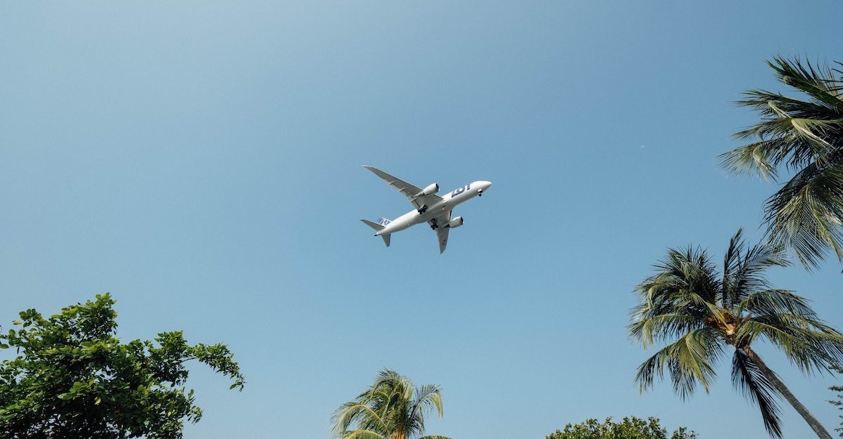 The belly of a passenger jet is seen flying over palm trees in a clear blue sky. Expedia Group employees are entitled to severance pay when they lose their job.
