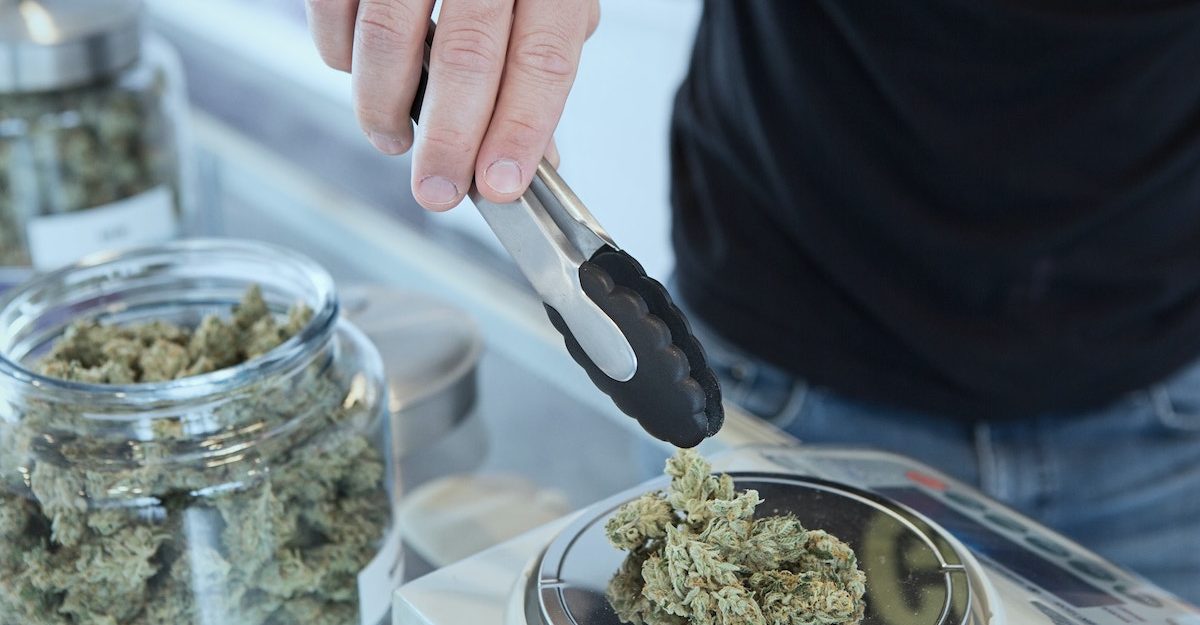 A cannabis store employee adds marijuana from a glass jar to a scale, using tongs. Pacific Smoke employees are entitled to severance pay when they lose their job.