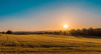 The sun rises in a blue sky, spreading its light across on a large farmer's field below. Agriculture sector employees are entitled to severance pay when they lose their job.