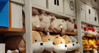 An assortment of stuffed animals and other toys sit on shelves in a toy store similar to Mastermind Toys.