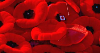 A photo of red poppies with pins in them. (Photo: Canadian Military Family Magazine / Google Images)