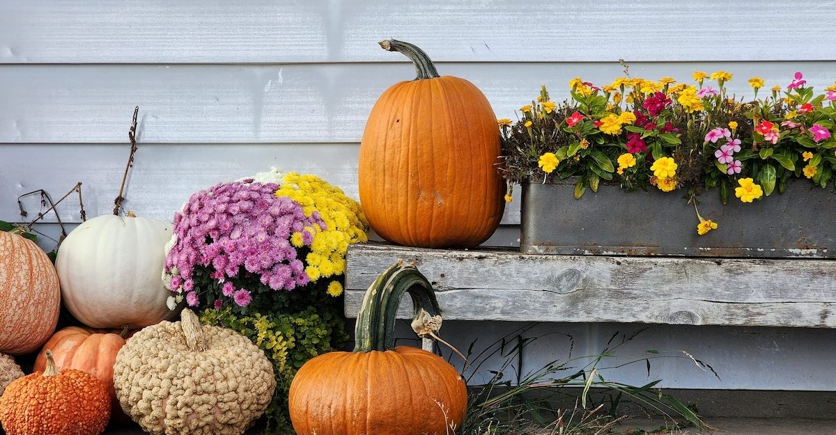 Assorted pumpkins and gourds outside a home on Thanksgiving Day in Ontario.