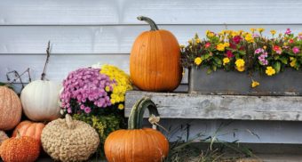 Assorted pumpkins and gourds outside a home on Thanksgiving Day in Ontario.