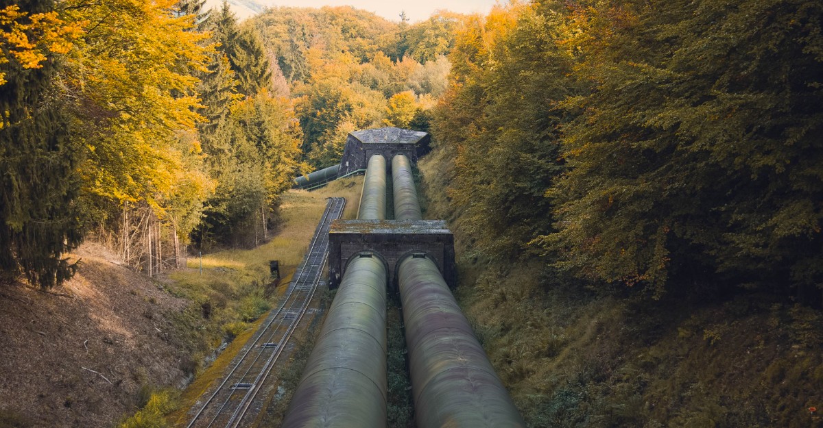 A photo of a pipeline in a forest. (Photo: Quinten de Graaf / Unsplash)
