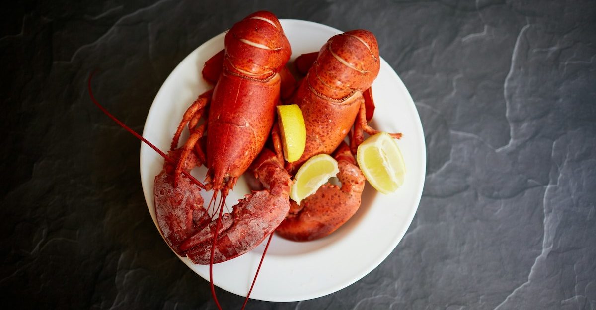 A lobster meal is served with a garnish of lemon.