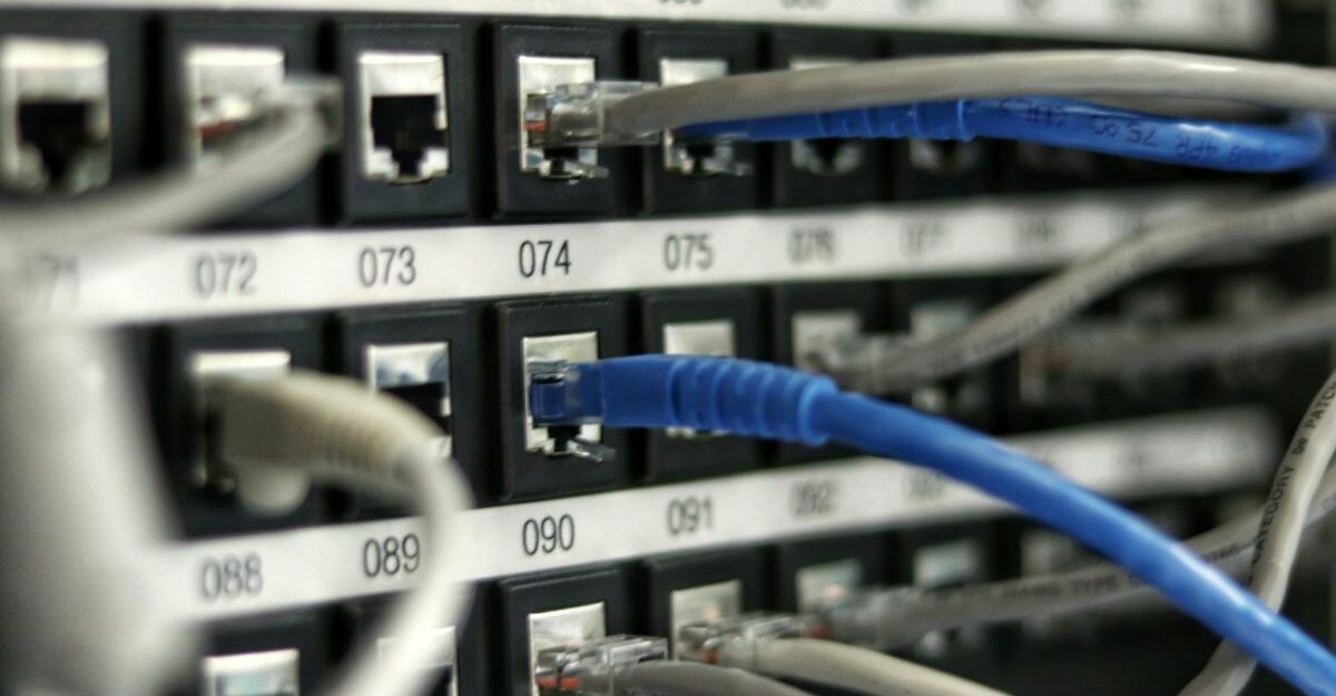 A number of cables are plugged into hardware likely used to run Equinix's data centres.