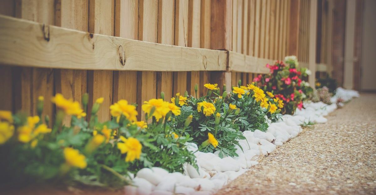 Flowers beautifully line a wooden fence in a design potentially created by NAK. (Photo: Matt Chen / Unsplash)