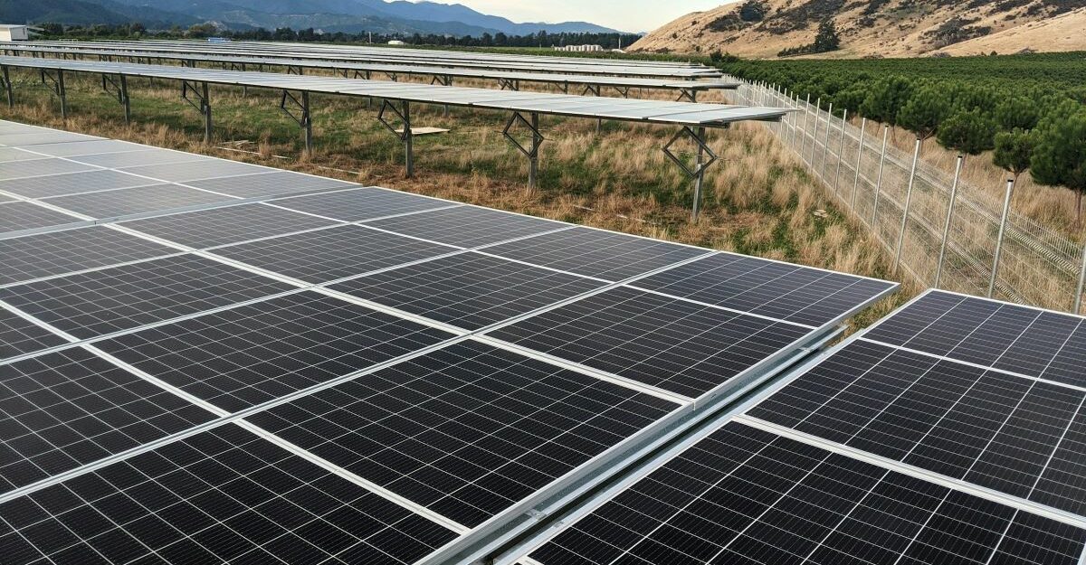 Endless rows of solar panels, part of the clean energy industry.