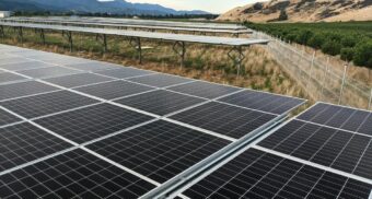 Endless rows of solar panels, part of the clean energy industry.