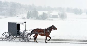 A photo of a horse-drawn carriage travelling on a snowy road. (Photo: Randy Fath / Unsplash)