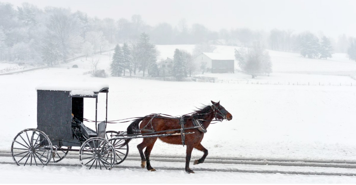 A photo of a horse-drawn carriage travelling on a snowy road. (Photo: Randy Fath / Unsplash)