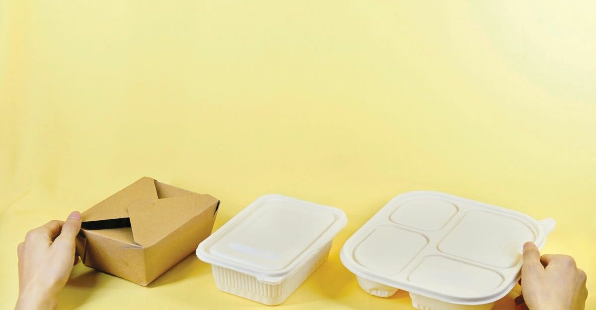 Different types of packaging designed to hold a range of food.