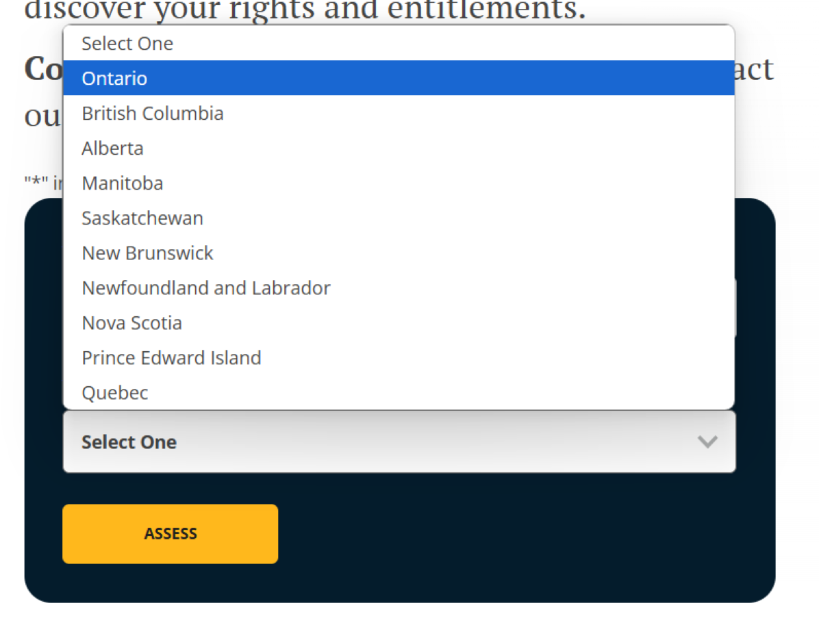 Pocket Employment Lawyer tool preview