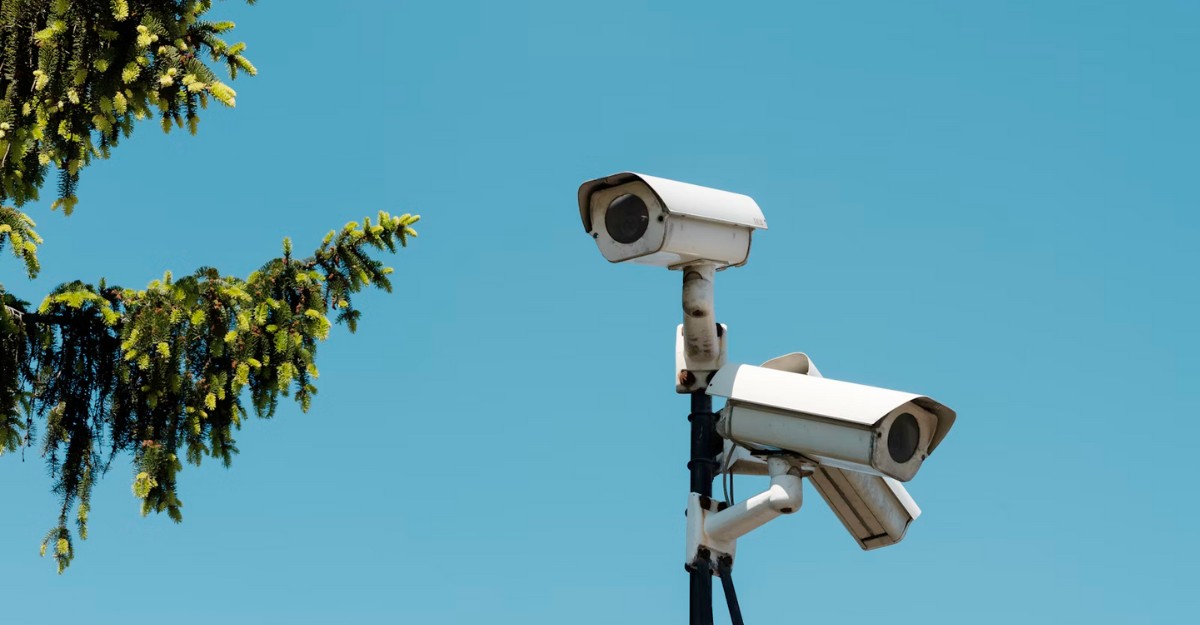 A photo of surveillance cameras beside a tree. (Photo: jaqbovsky / Unsplash)