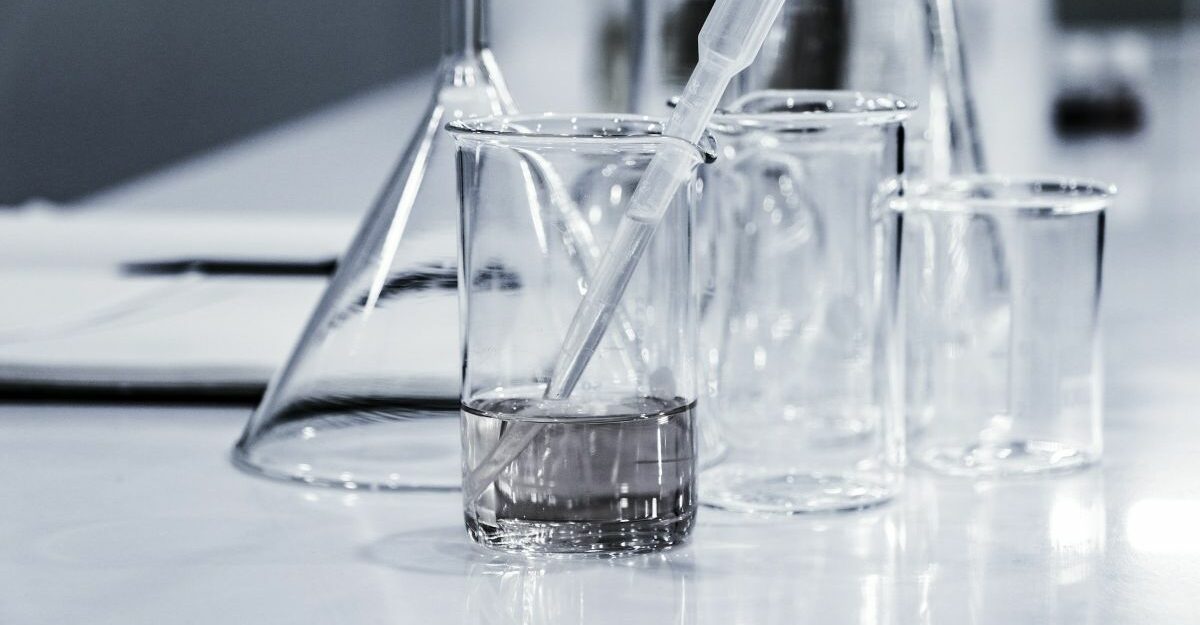 A collection of glass jars and beakers.