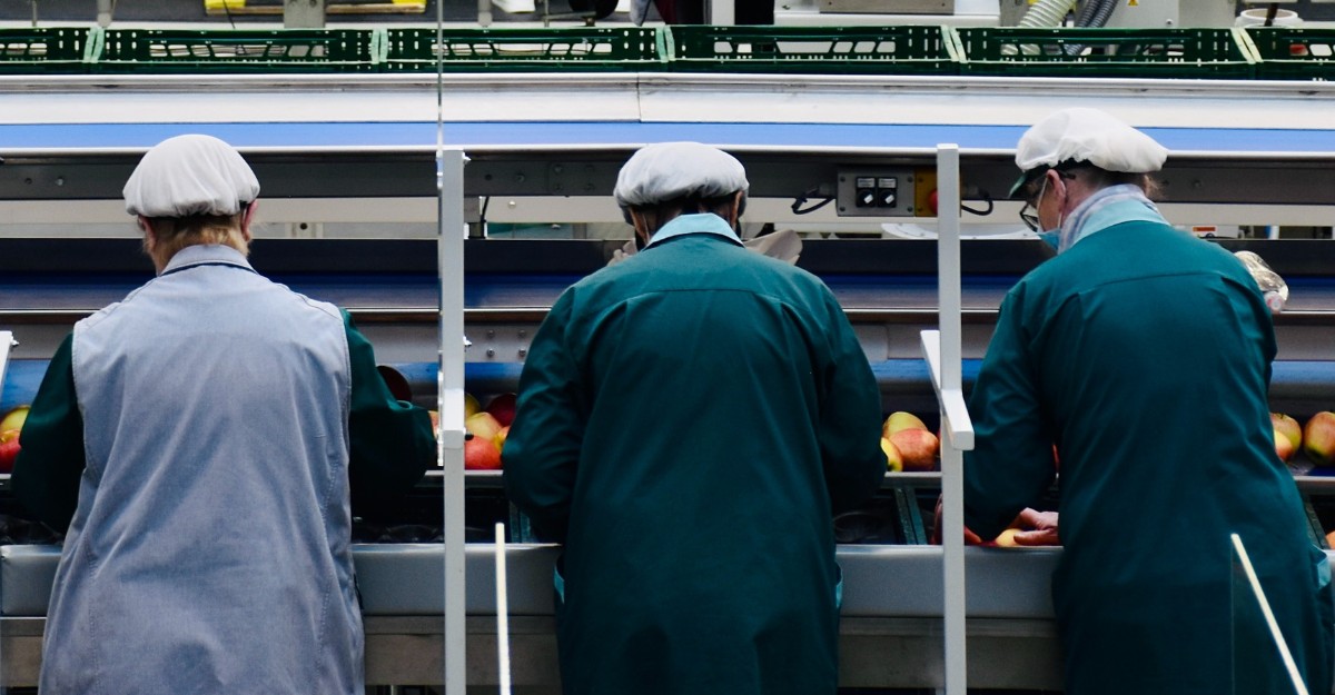 Inside a processing company in northern Italy. (Photo: Arno Senoner / Unsplash)