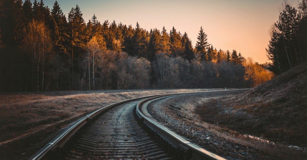 cn-rail-restructuring-job-cuts-october-2025 A photo of a railway in a wooded area. (Photo: Irina Iriser / Unsplash)