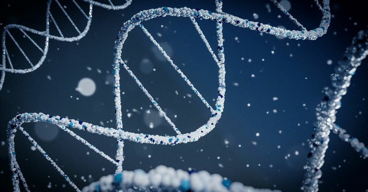 A microscopic view of strands of DNA.
