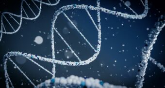 A microscopic view of strands of DNA.