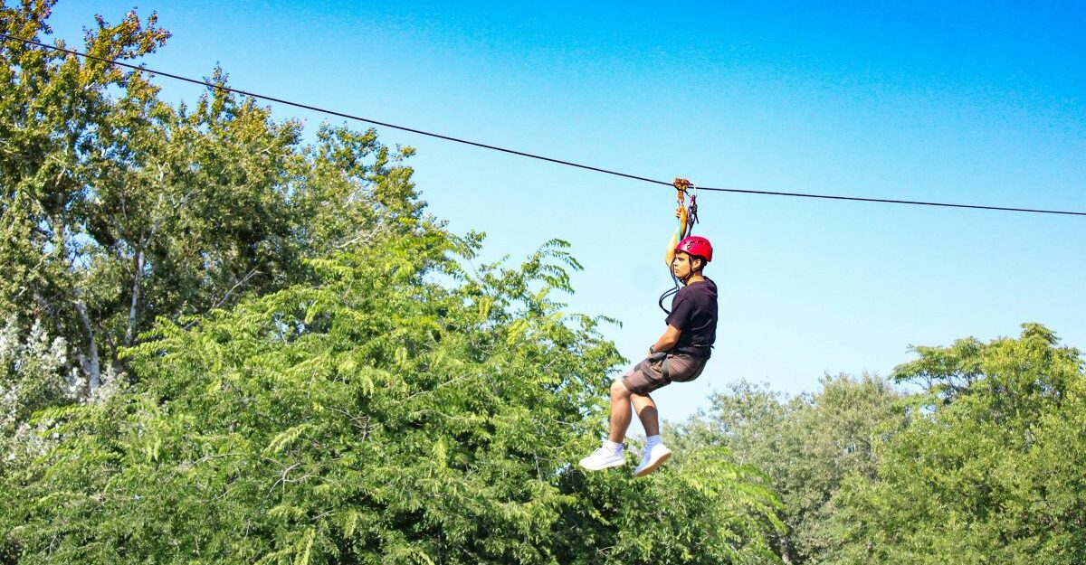A young man zip lines across a long distance among large trees and a blue sky.