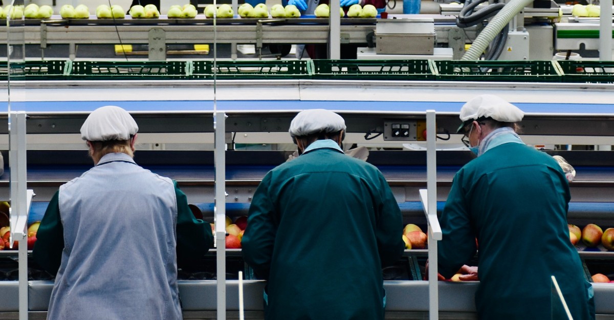 Employees at a food processing company. (Photo: Arno Senoner/Unsplash)