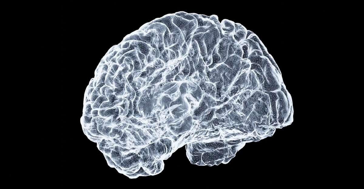 A comprehensive scan of a human brain. (Photo: Shawn Day / Unsplash)